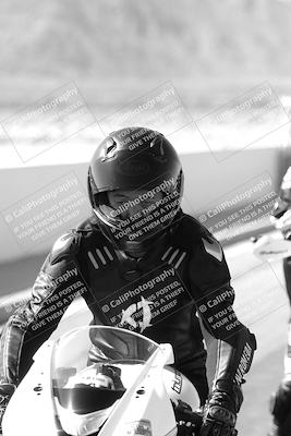 media/Mar-08-2025-TrackXperience (Sat) [[277b597a28]]/1-Around the Pits - Pre Grid/